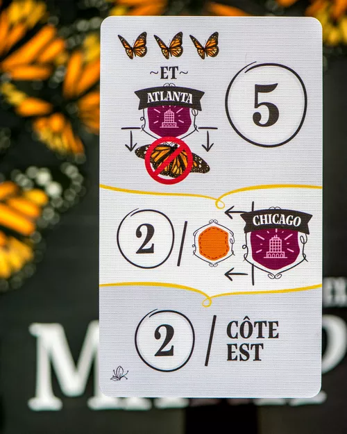Avis sur le jeu MARIPOSAS carte OBJECTIF 4